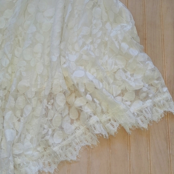 Free People Lace A Symmetrical Short Dressy 3 Quarter Sleeve Sheer Dress. - Picture 2 of 7